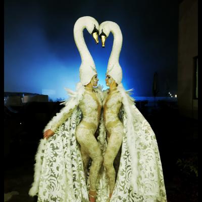 Birgit Moertl Costumes Swanlake Photo Birgit Moertl